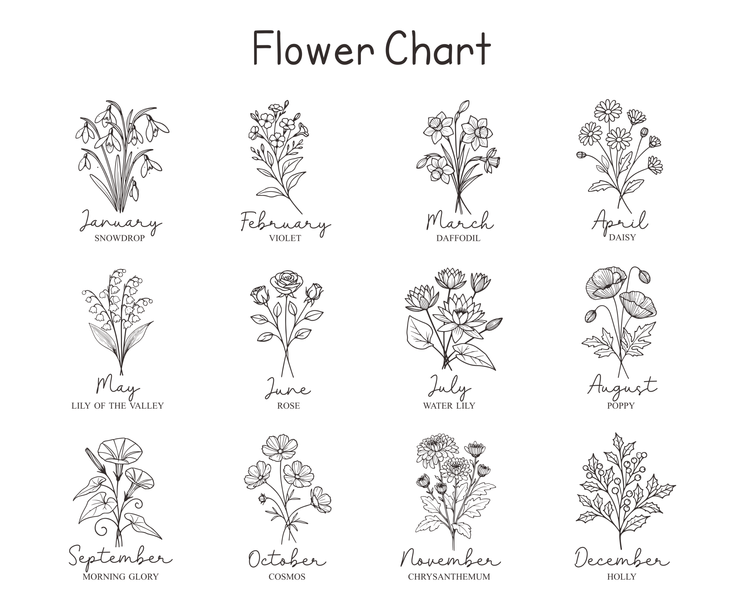 Flower chart with monthly illustrations: Snowdrop, Violet, Daffodil, Daisy, Lily, Rose, Water Lily, Poppy, etc.