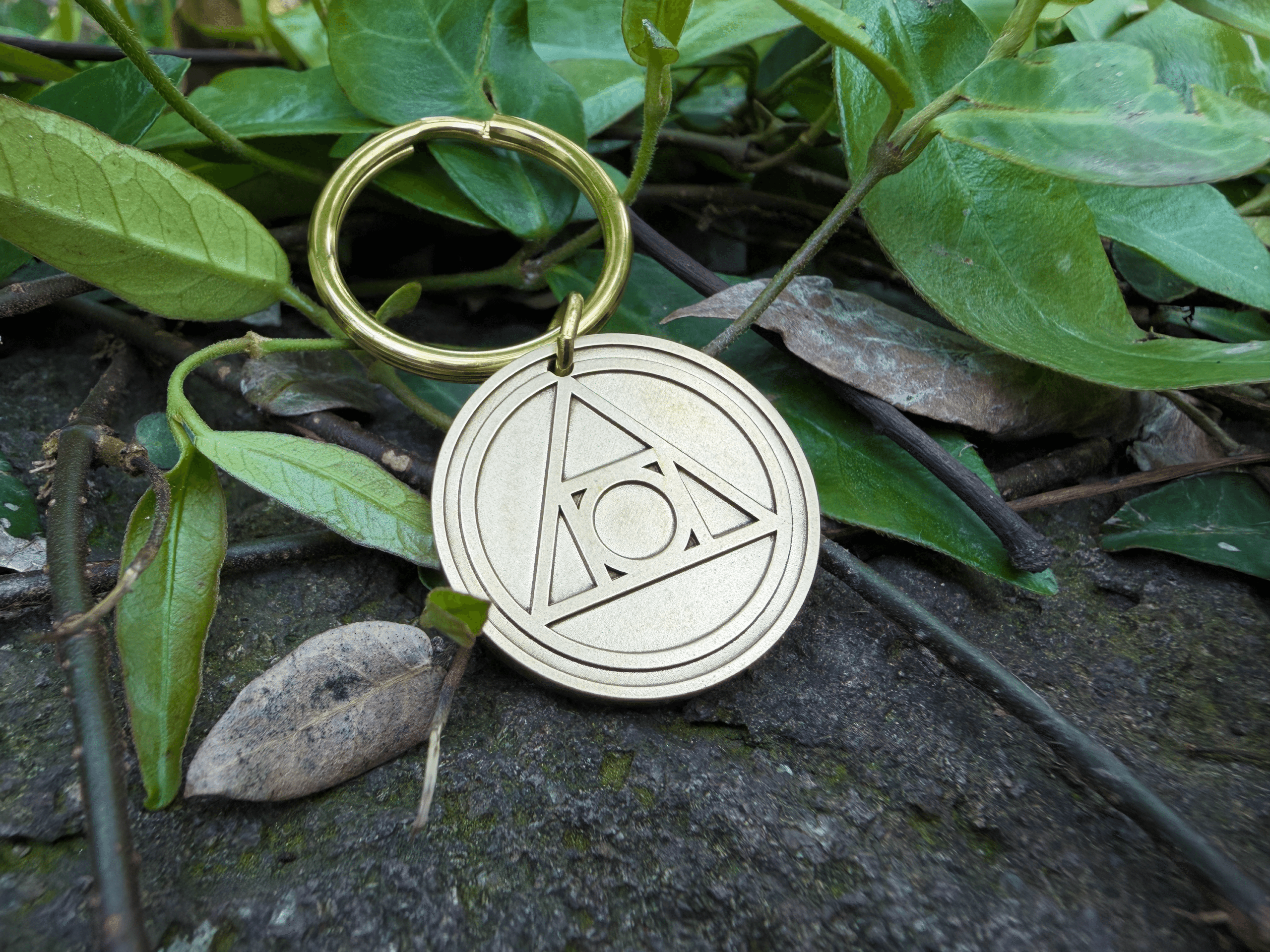 Gold keychain with a circle and triangle engraving, symbolizing the AA Recovery, resting on green leaves.