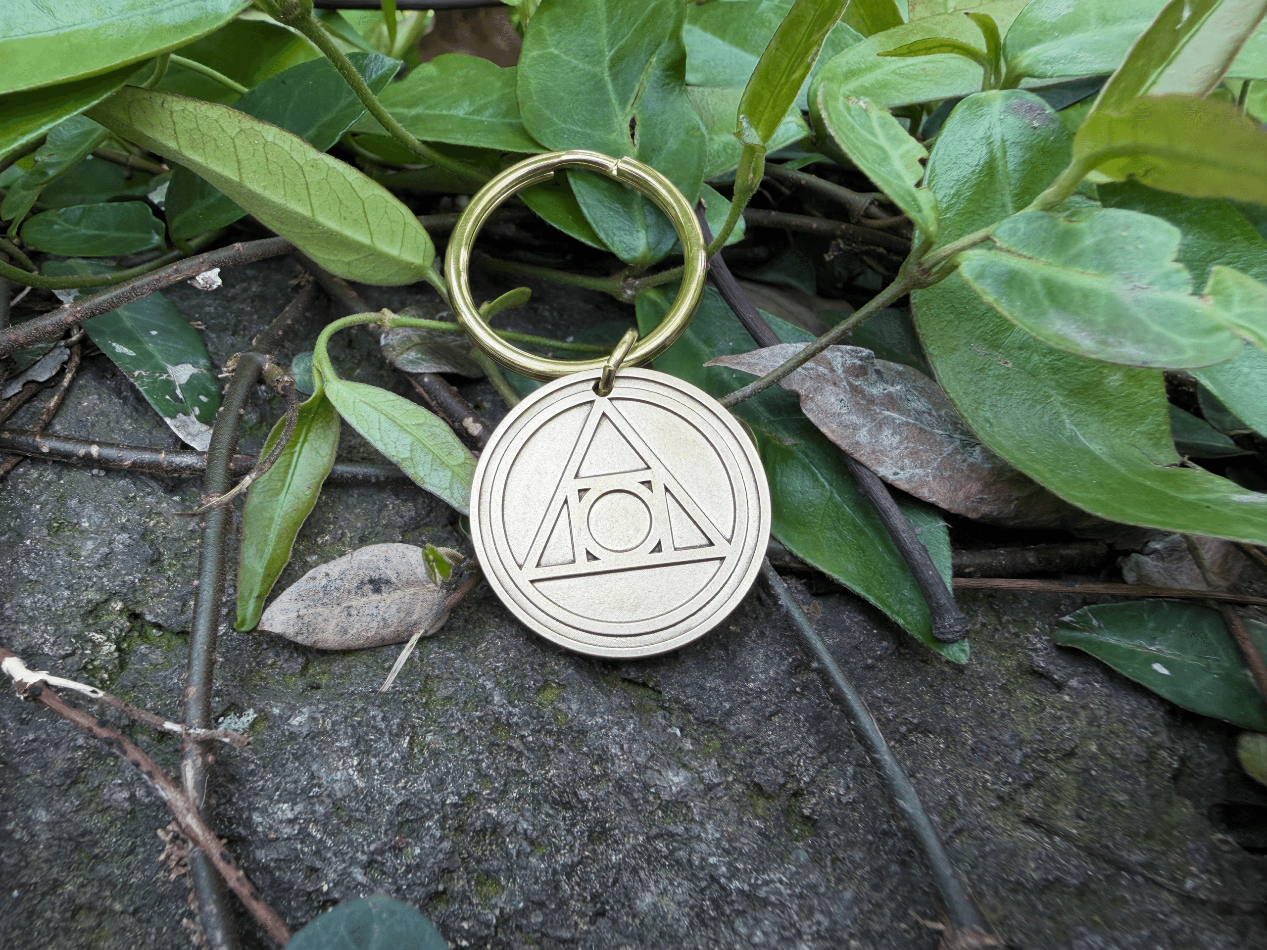 Gold keychain with geometric engraving of a triangle and circle, laying on green leaves.