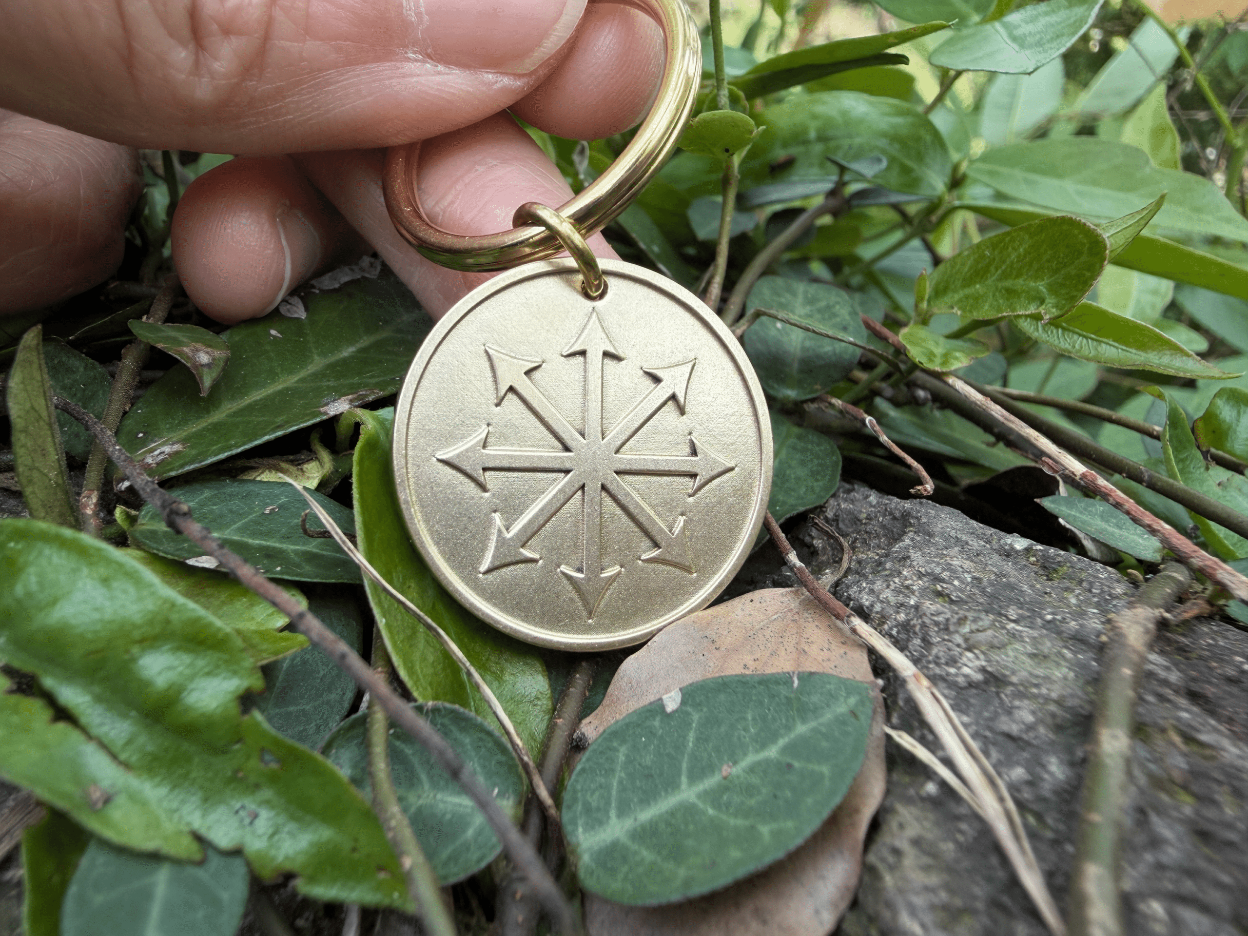 Golden medallion with chaos star engraving held over green leaves and branches.