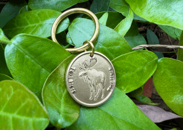 Gold keychain with a moose design resting on vibrant green leaves.