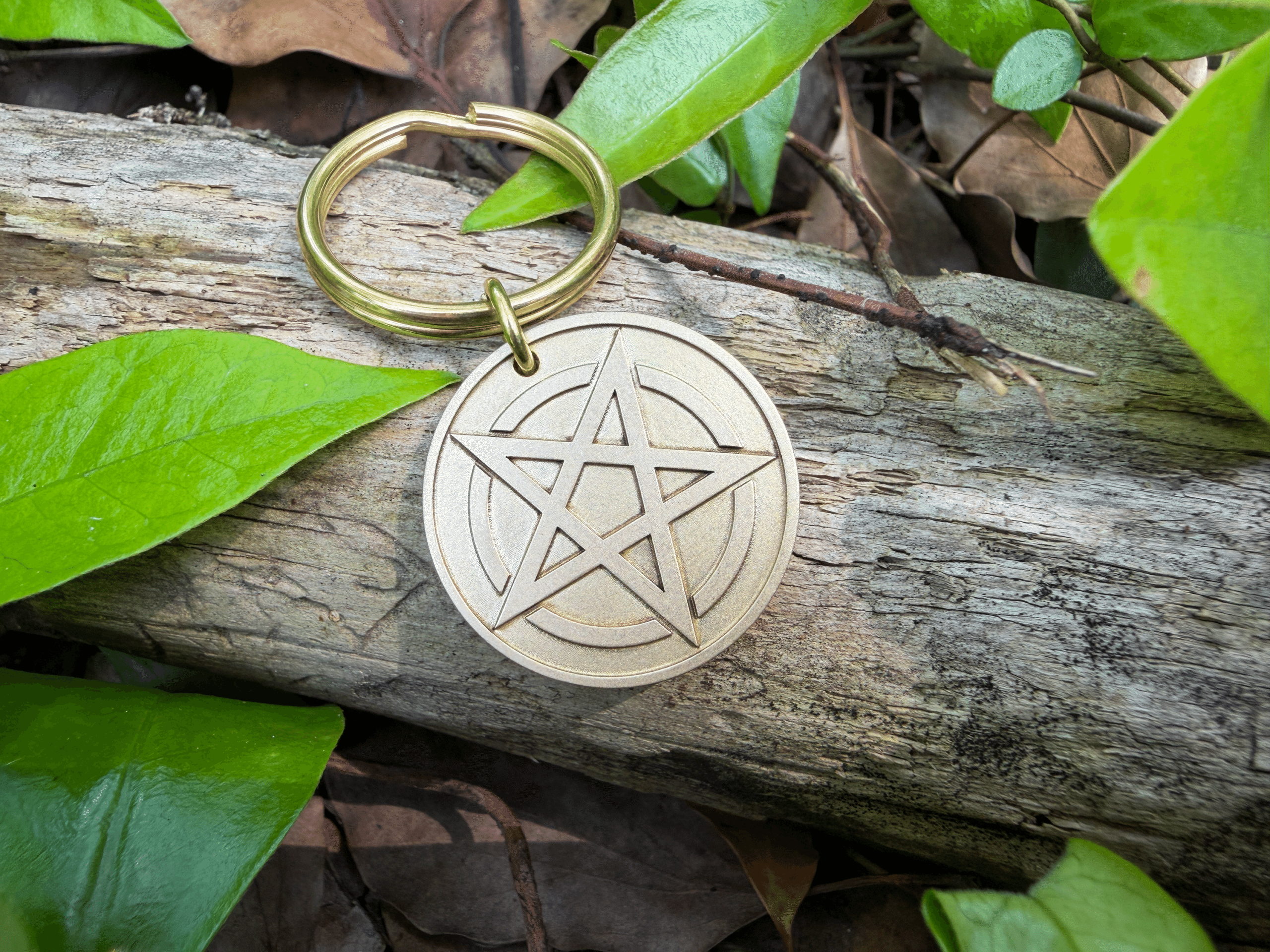 Brass pentagram keychain resting on a wooden log surrounded by green leaves